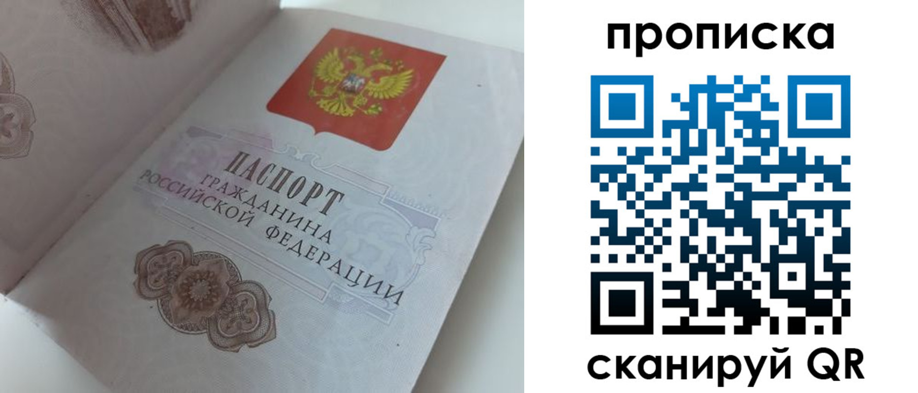 пропишу в квартире в Донском